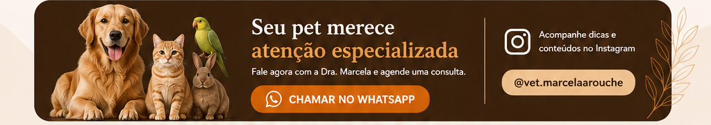 Seu pet merece atenção especializada. Chamar no WhatsApp e acompanhar no Instagram.